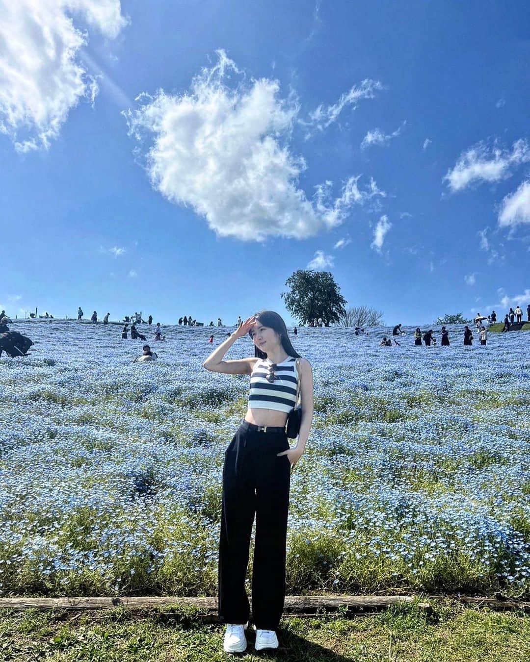 雨宮凜々子のインスタグラム：「念願のネモフィラ🫶🏻 自然いっぱいで癒された🐄  👚#rilyco  👖#gu  👠#converse   #guコーデ #プチプラコーデ #夏コーデ #ootd #오오티디 #ネモフィラ #クロップド丈 #y2k #海外ファッション #韓国ファッション #gw」