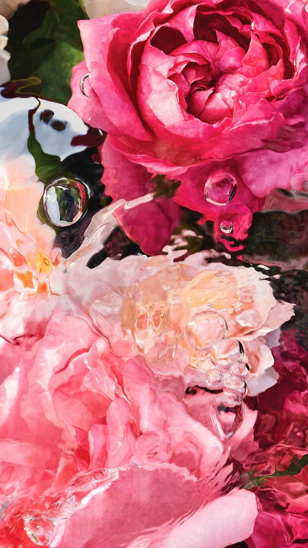 ゲランのインスタグラム：「Aqua Allegoria Harvest: a moment suspended in time. The Aqua Allegoria Collection is reborn this summer with Aqua Allegoria Harvest, an exclusive trio of limited-edition fragrances harvested from exceptional terroirs.  #Guerlain #GuerlainParfumeur #AquaAllegoria」