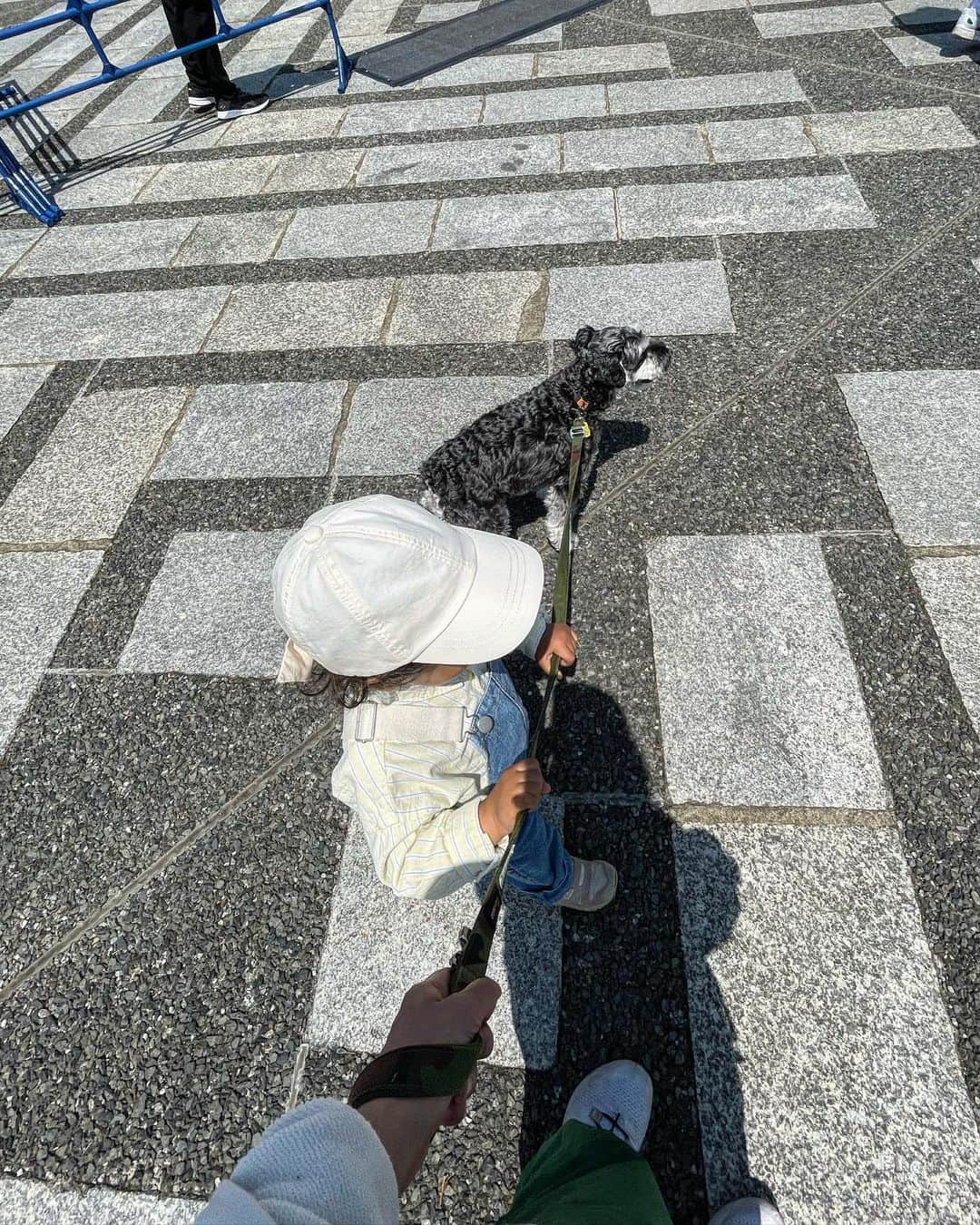 池田彩さんのインスタグラム写真 - (池田彩Instagram)「この前お散歩に出かけたら、餃子フェスやってたからふらっと食べてきましたー🥟 何種類か食べたけど、どれも美味しかった😋  #お散歩  #ひとんちの犬 #シュナウザー  #餃子 #餃子フェス」5月3日 16時05分 - aya_ikeda_official