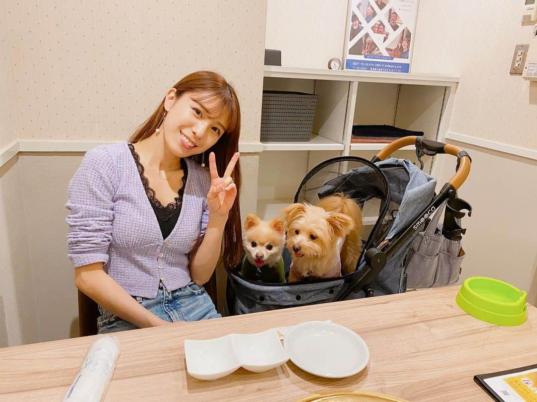 小嶋菜月さんのインスタグラム写真 - (小嶋菜月Instagram)「🐶🐶✌️ . . みなさんっ GWいかがお過ごしですか？☺️ . . 私は、ばぁちゃんたち、従姉妹たちにも会えて 良いスタートをきれましたっ🥰 . . こないだはワンちゃんと行ける 焼肉屋さんに行ってきたよ〜🐶🐶 . . ワンちゃん用のメニューもたくさんあって 2人とも大満足してました☺️🥩🍗 . .  モカはまだ赤ちゃんなので 途中で眠くて食より睡眠が勝ってた😴😂 . . #お台場 #焼肉 #うしすけ #うしすけお台場店 #ポメラニアン #トイプードル #ポメプー #マシュー #モカ #マシュモカ」5月3日 16時10分 - kojimanatsuki_offical