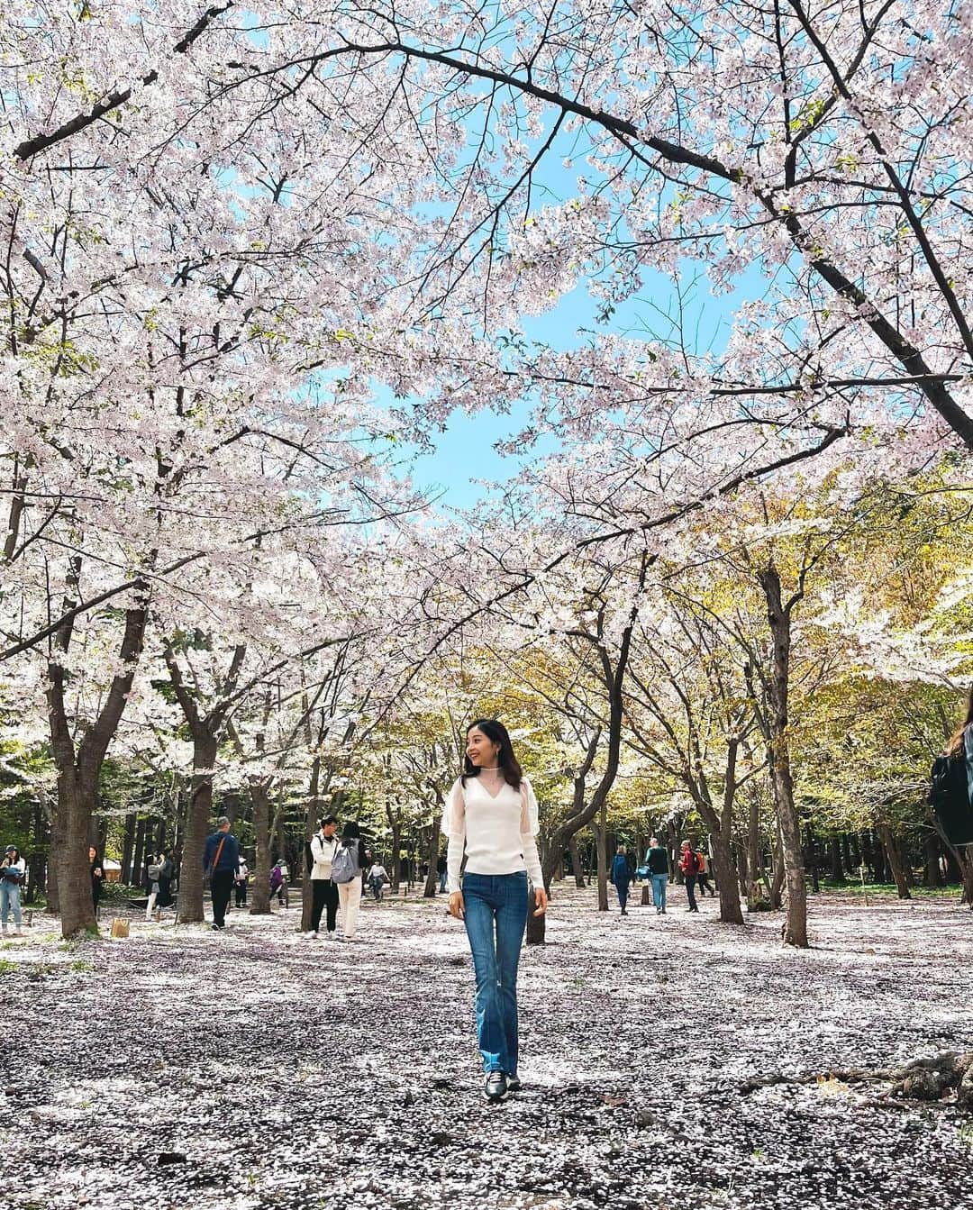 中野怜美さんのインスタグラム写真 - (中野怜美Instagram)「Walking everyday for a healthy recovery🌸 8年ぶりに日本で春を過ごしています。東京の桜は間に合わず見れませんでしたが、北海道は今桜が綺麗です💓桜が見れて幸せ。  #桜 #春 #sakura #cherryblossom #spring」5月3日 17時06分 - reminakano