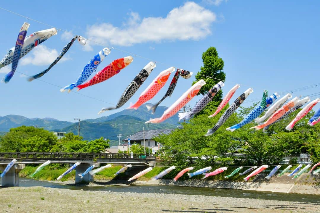 平塚市さんのインスタグラム写真 - (平塚市Instagram)「金目川の金目観音近くでこいのぼりがイキイキと泳いでいます！ ５月４日（木）にはすぐ近くでわかば祭りが開催され、地元の方の演芸やヨーヨー釣り、フリーマーケットなどの催しも開催されるそうです。  #手をつなぎたくなる街 #hiratsukagood #hiratsuka #平塚 #kanagawaphotoclub #湘南　#shonan #こどもの日　#５月５日 #鯉のぼり　#こいのぼり #金目川　#金目　#川 #今日もお疲れ様でした #週末の過ごし方 #日々　#暮らし #instagramjapan #igersjp #japanphoto」5月3日 17時00分 - hiratsukagood