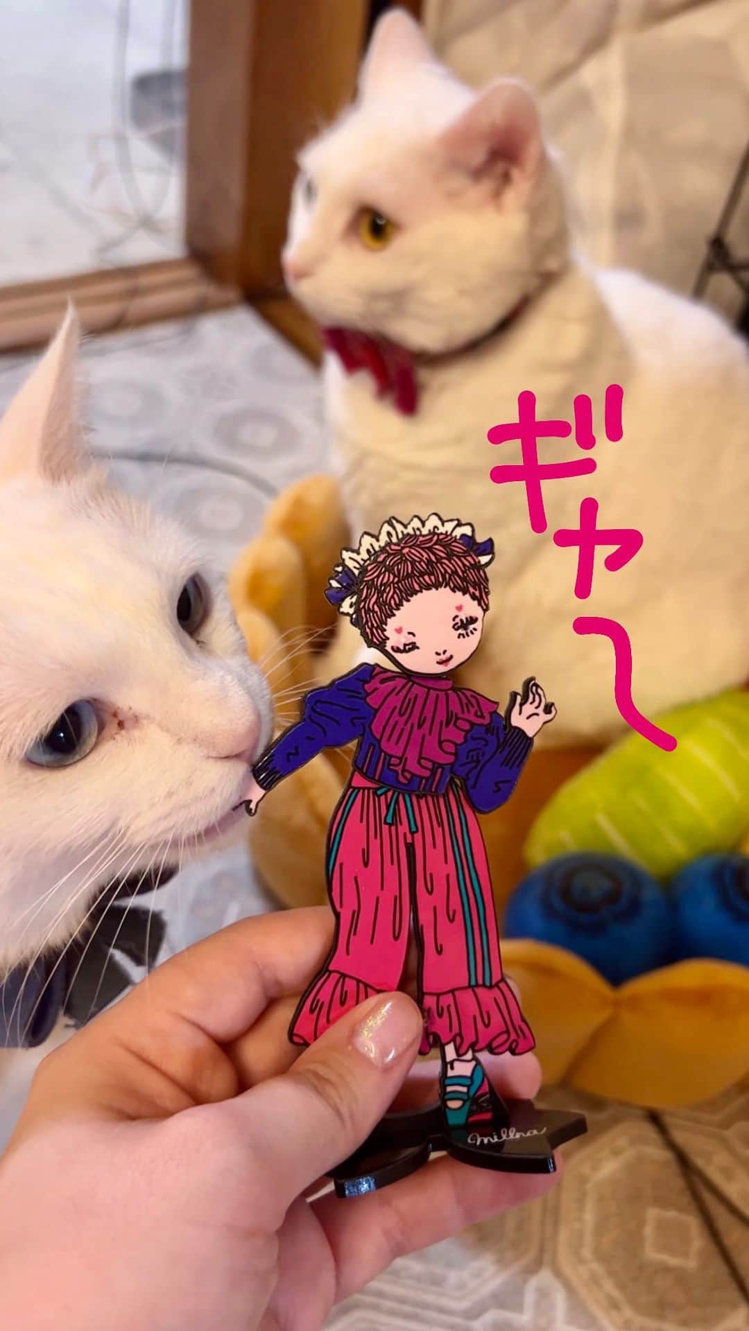 millnaのインスタグラム：「millnaアクスタ発売しますた‼️めちゃかわいくできたから【カワイイカルト通販｝で検索してゲットしておくれ‼️  #ハンドメイド #ハンドメイド作家 #アクスタ #猫のいる暮らし #ミピうp」