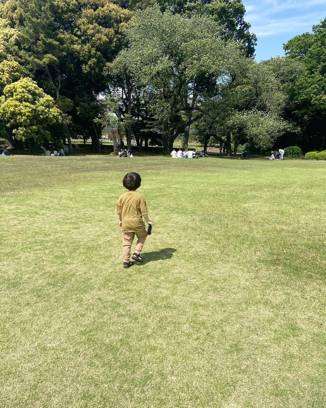 渡辺有子のインスタグラム：「清々しいお天気に誘われて新宿御苑へ。新緑と芝生に同化してた子…😆 ゴールデンウィークこのまま気持ちの良いお天気だといいですね。 御苑の千駄ヶ谷門前では7日まで LABコーヒーショップやっています☕️ ドリンクも焼き菓子（フードフォーソート、foodremedies 、SHOZO ）も充実していますよぉ☺️ コーヒー豆の販売もしています。 新宿御苑にお散歩がてら、ぜひ、お立ち寄りください。   LAB COFFEE SHOP 5/7(日) 9:00-17:00 渋谷区千駄ヶ谷5-3-16 @foodforthought_shop」