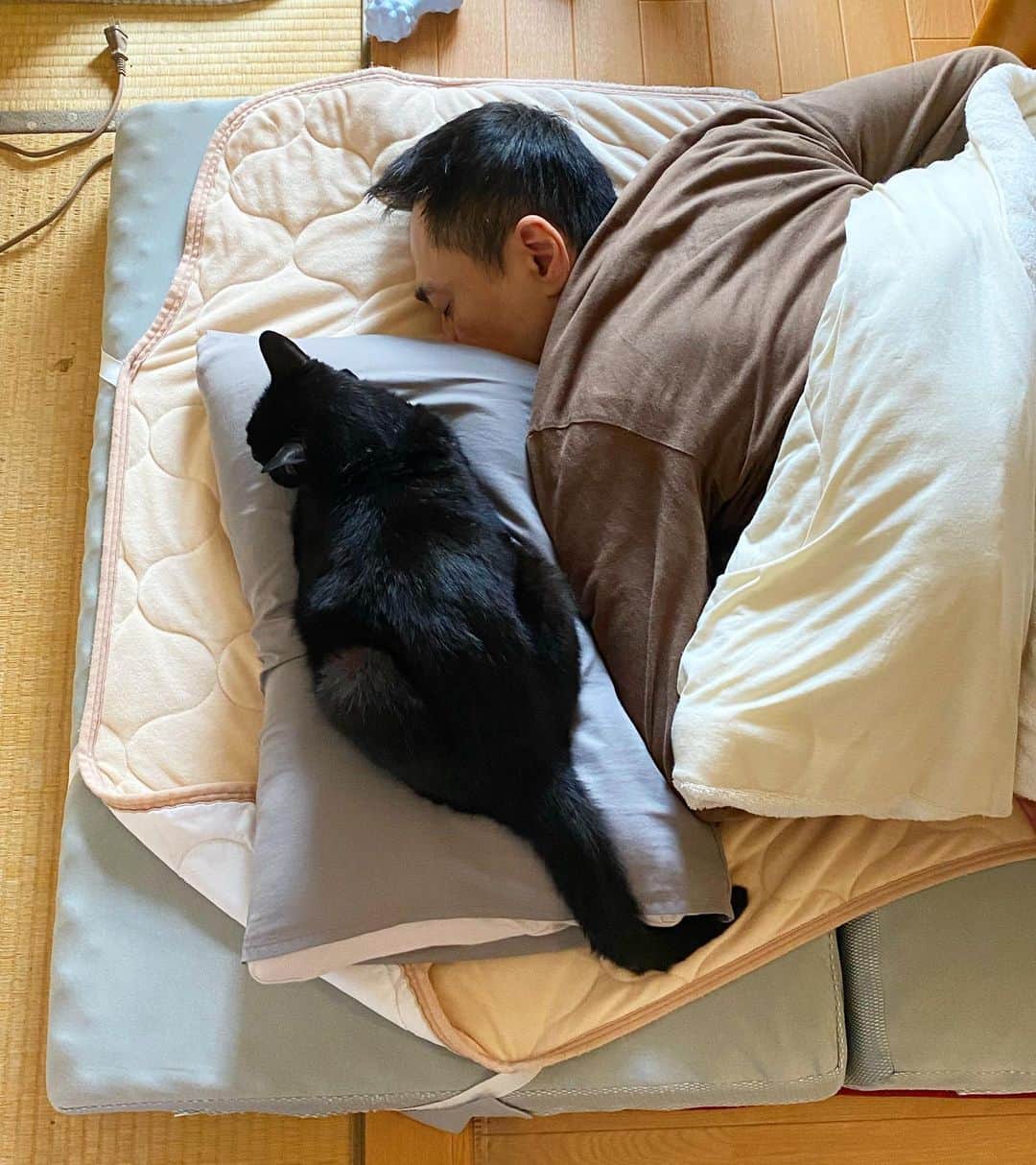 nemuru_catのインスタグラム：「#ベム#眠る夫  お昼寝中💤 * #ねこ部#cat#cats#neko#猫#catsofinstagram#bestmeow#catlover#ふわもこ部#黒猫」