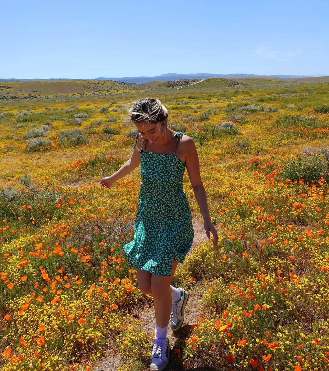 AMIのインスタグラム：「California Poppy:)」