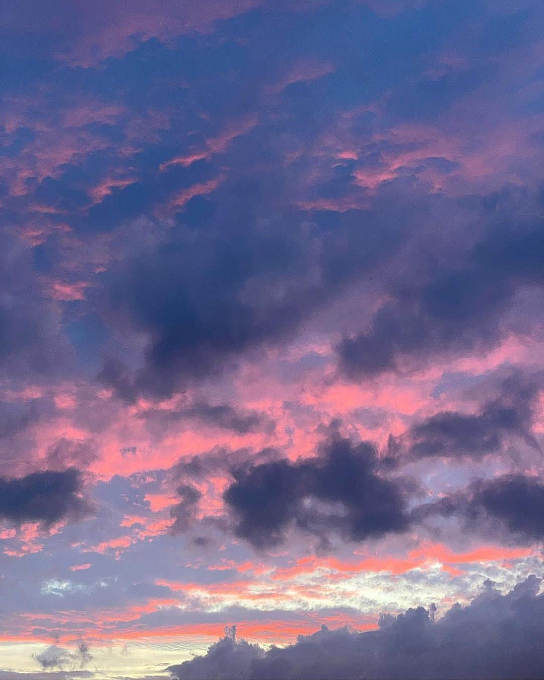 浅田舞さんのインスタグラム写真 - (浅田舞Instagram)「ティアラまた会おうね🕊 𝟐𝟎𝟐𝟑.𝟓.𝟐  お空がとても綺麗な日に虹の橋を渡りました。」5月3日 18時01分 - asadamai717