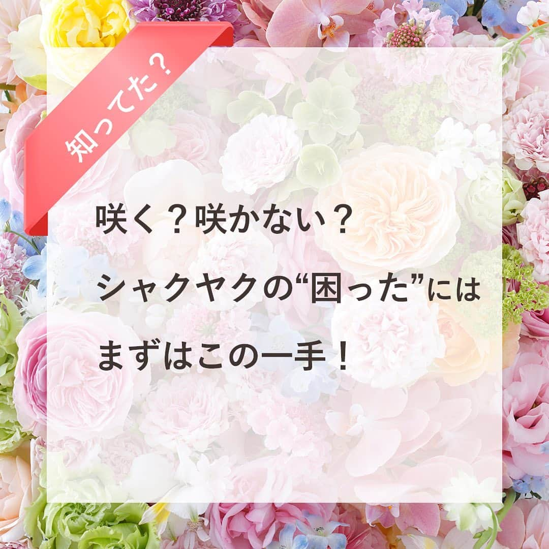 雑誌『花時間』のインスタグラム