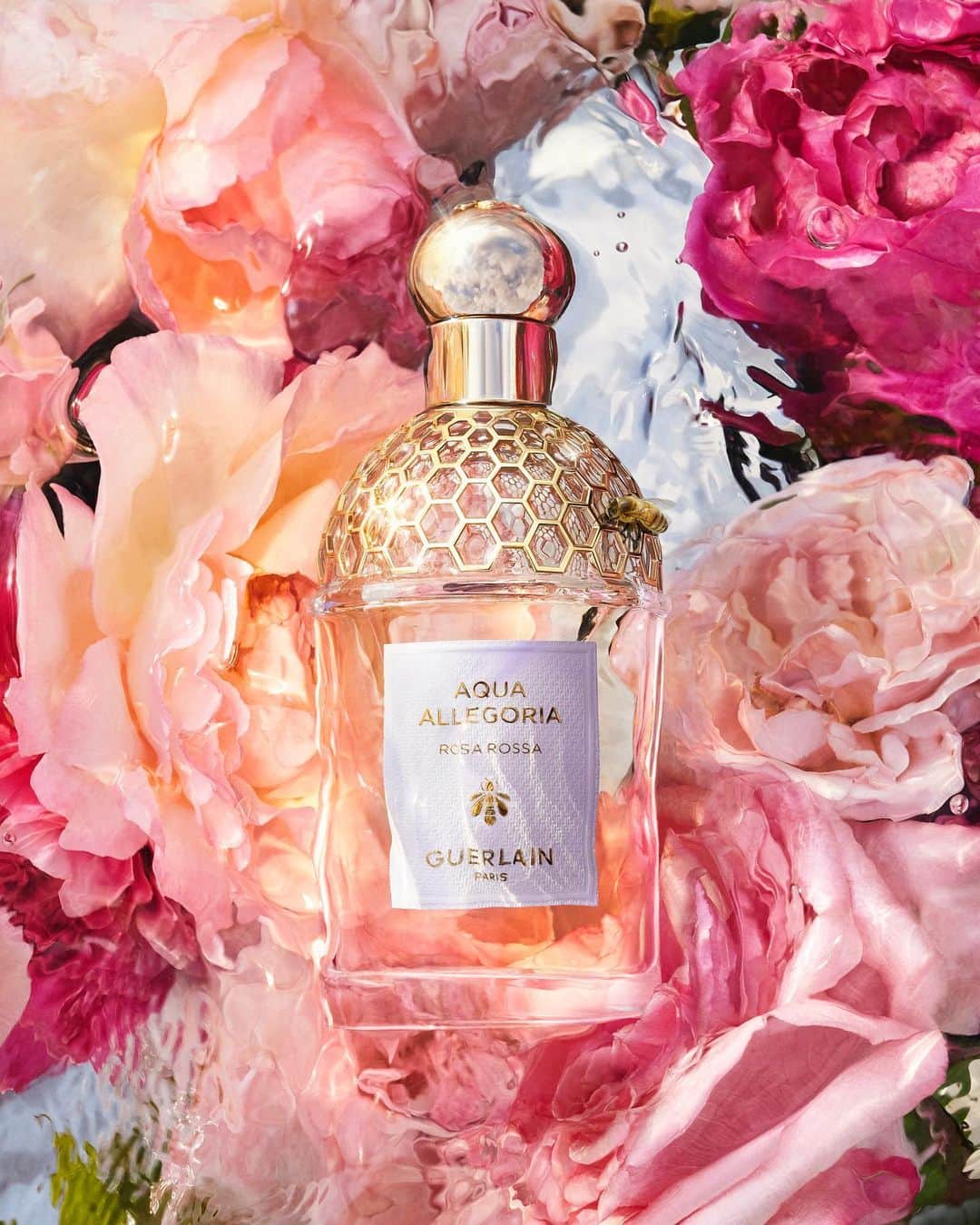 ゲランさんのインスタグラム写真 - (ゲランInstagram)「Aqua Allegoria: the iconic collection that celebrates the wonders of nature. Luminous florals, sunny citruses and vibrant, juicy fruity-florals: embark on a sunkissed journey into the Guerlain Perfumers' summer garden.  #Guerlain #GuerlainParfumeur #AquaAllegoria」5月6日 0時50分 - guerlain