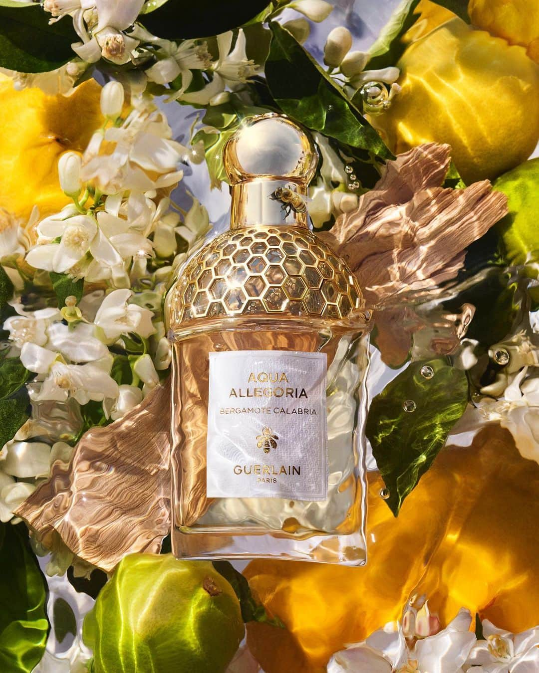 ゲランさんのインスタグラム写真 - (ゲランInstagram)「Aqua Allegoria: the iconic collection that celebrates the wonders of nature. Luminous florals, sunny citruses and vibrant, juicy fruity-florals: embark on a sunkissed journey into the Guerlain Perfumers' summer garden.  #Guerlain #GuerlainParfumeur #AquaAllegoria」5月6日 0時50分 - guerlain