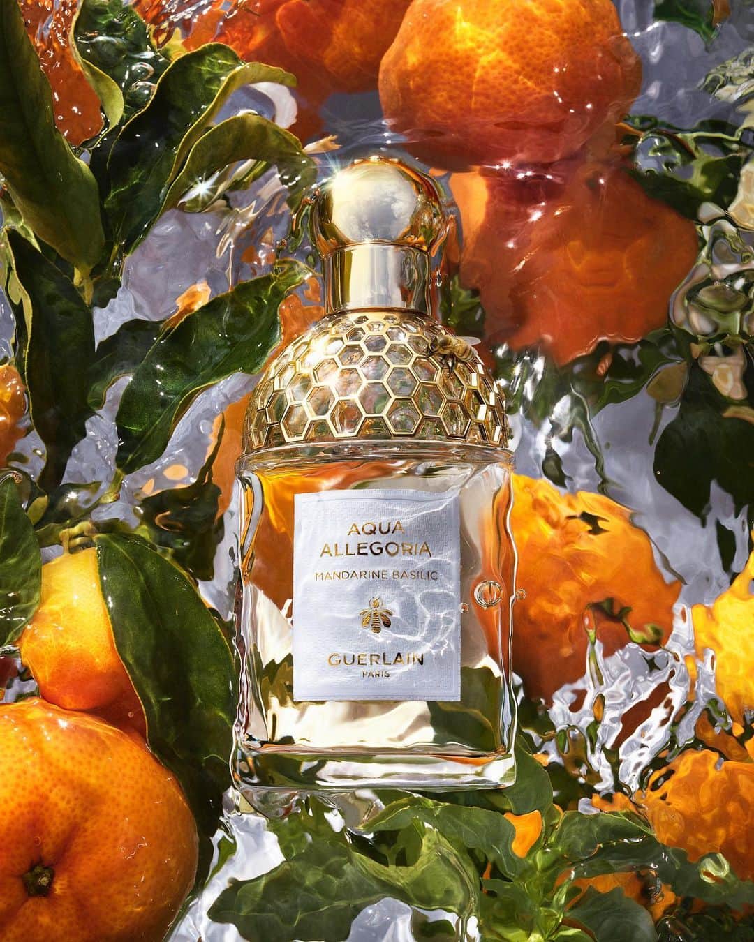 ゲランさんのインスタグラム写真 - (ゲランInstagram)「Aqua Allegoria: the iconic collection that celebrates the wonders of nature. Luminous florals, sunny citruses and vibrant, juicy fruity-florals: embark on a sunkissed journey into the Guerlain Perfumers' summer garden.  #Guerlain #GuerlainParfumeur #AquaAllegoria」5月6日 0時50分 - guerlain