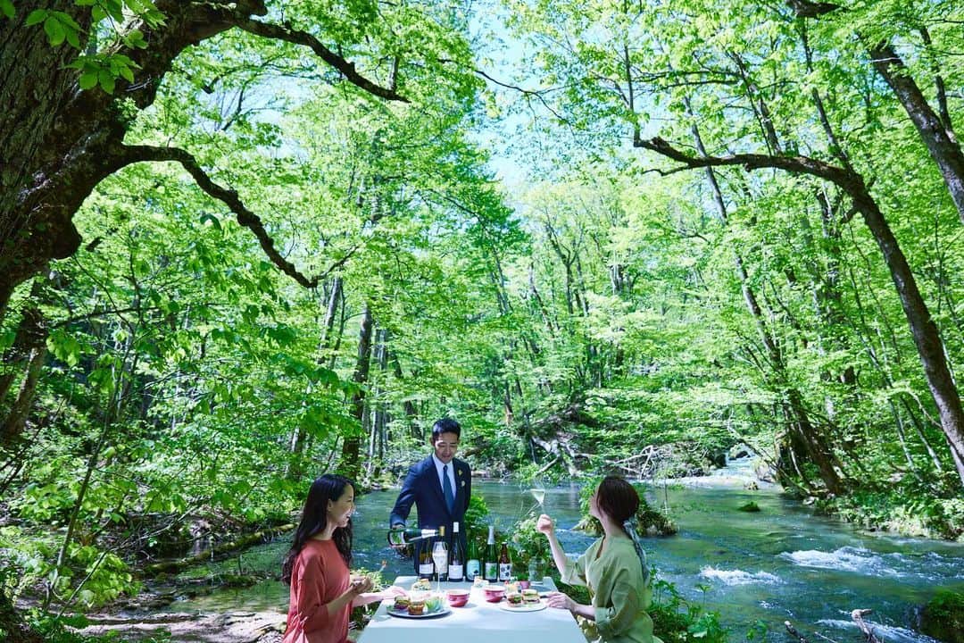 のインスタグラム：「. 星野リゾート　奥入瀬渓流ホテルでは、5月8日から31日までの月曜日、火曜日限定で、新緑が美しい渓流沿いでランチを楽しむプログラム「渓流新緑ランチ」が始まります🌿  このプログラムでは、その時期に新緑が一番美しく見えるスポットへご案内し、絶景を楽しみながら、新緑をなぞらえた彩り鮮やかなランチを味わえます🍴🌳✨  ランチに合わせてソムリエが厳選した3種のシードルは、フレッシュで甘酸っぱい新緑色の青リンゴを使用しており、清涼感と心地よい酸味が特徴です🥂🍏  鳥たちのさえずりが鳴り響く中で、新緑のグラデーションを眺めながら、贅沢なランチの時間をぜひお楽しみください𓅫⸒⸒  #hoshinoresorts　#oirasekeiryuhotel　#奥入瀬渓流ホテル　#星野リゾート　#奥入瀬渓流　#青森旅行　#oirase　#絶景ホテル　#国立公園　#リゾートホテル　#新緑　#ランチ」