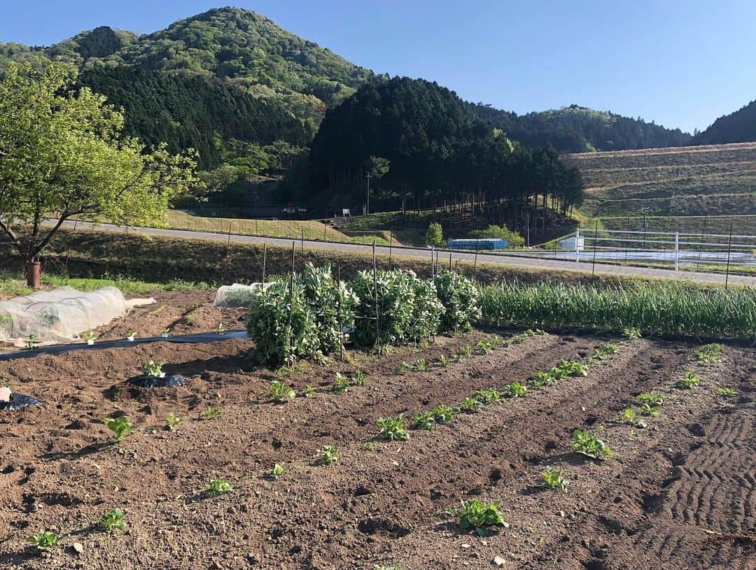 久保田夏菜さんのインスタグラム写真 - (久保田夏菜Instagram)「無事に田植えが終わりました。  親族総出で 子どもたち連日大ハッスル。  鯉のぼりもあげまして 夏野菜の苗も植えまして。  全て毎年恒例。  おいしいお米になりますように。  そういえば わたしは、草抜きばっかりしてたわ笑  #田舎暮らし　#安芸高田市　#米作り　#家族総出　#田植え　#毎年恒例　#久保田米　#今年もよろしくお願いします」5月3日 18時42分 - kanakubota0805