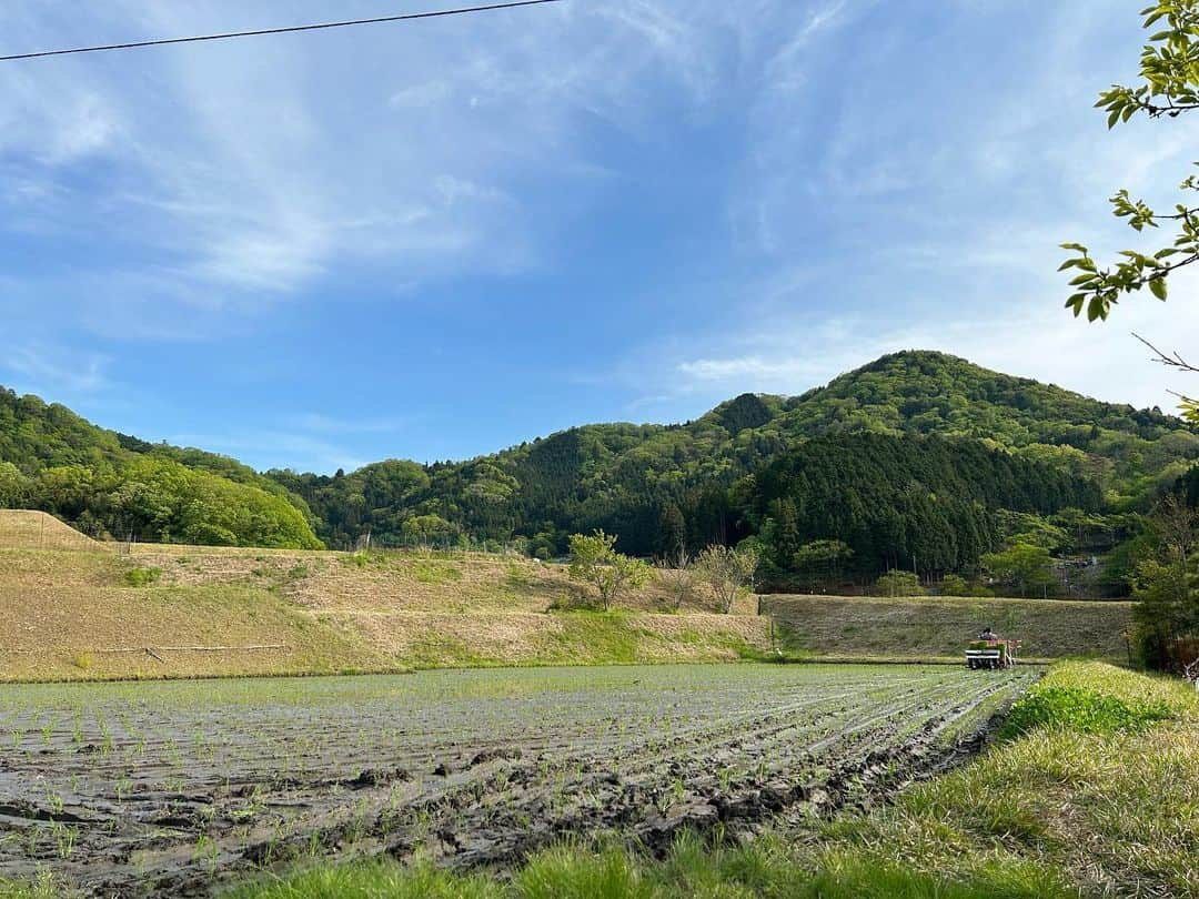 久保田夏菜のインスタグラム：「無事に田植えが終わりました。  親族総出で 子どもたち連日大ハッスル。  鯉のぼりもあげまして 夏野菜の苗も植えまして。  全て毎年恒例。  おいしいお米になりますように。  そういえば わたしは、草抜きばっかりしてたわ笑  #田舎暮らし　#安芸高田市　#米作り　#家族総出　#田植え　#毎年恒例　#久保田米　#今年もよろしくお願いします」