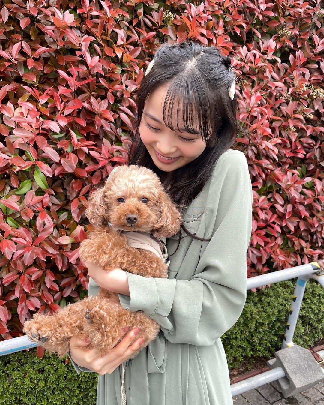 林芽亜里さんのインスタグラム写真 - (林芽亜里Instagram)「🎀 ⁡ 前の横浜赤レンガ倉庫でのイベントの時、 マネージャーさんの愛犬ロコちゃんに会いました🐶 ⁡ ⁡ ふわふわでとーってもかわいいロコちゃん🤎 抱っこさせてもらいました⸜(*ˊᵕˋ* )⸝‬ ⁡ ⁡ また会いたい、、♡ ⁡ ⁡ ⁡ ⁡ ⁡ #林芽亜里 #ロコちゃん #わんちゃん」5月3日 18時39分 - meari__hayashi