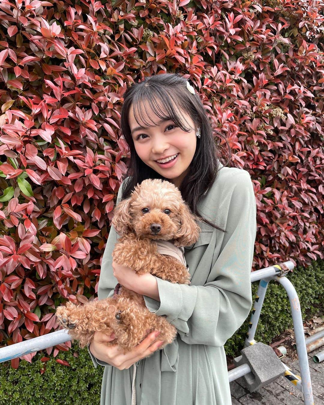 林芽亜里さんのインスタグラム写真 - (林芽亜里Instagram)「🎀 ⁡ 前の横浜赤レンガ倉庫でのイベントの時、 マネージャーさんの愛犬ロコちゃんに会いました🐶 ⁡ ⁡ ふわふわでとーってもかわいいロコちゃん🤎 抱っこさせてもらいました⸜(*ˊᵕˋ* )⸝‬ ⁡ ⁡ また会いたい、、♡ ⁡ ⁡ ⁡ ⁡ ⁡ #林芽亜里 #ロコちゃん #わんちゃん」5月3日 18時39分 - meari__hayashi