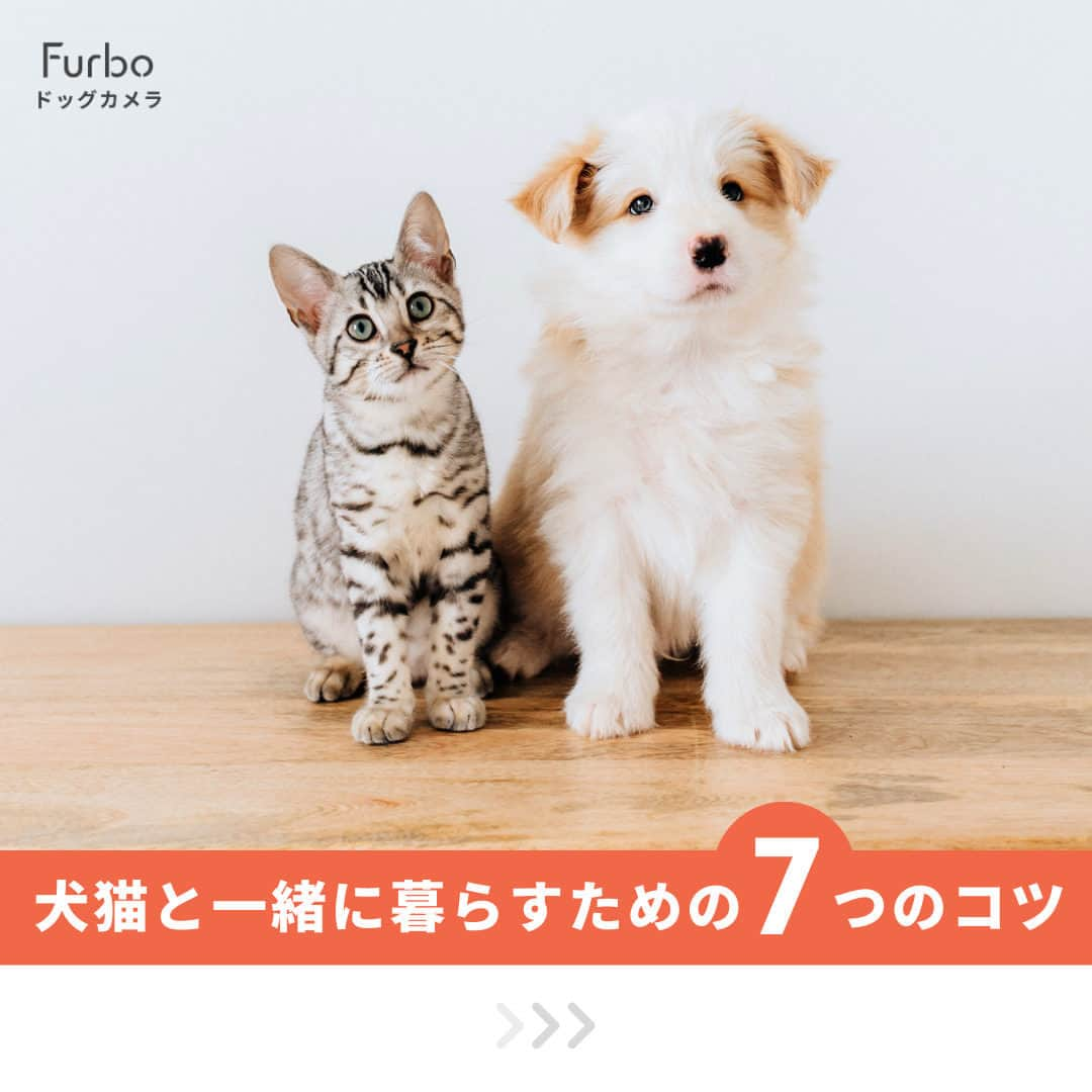 Furbo ドッグカメラのインスタグラム