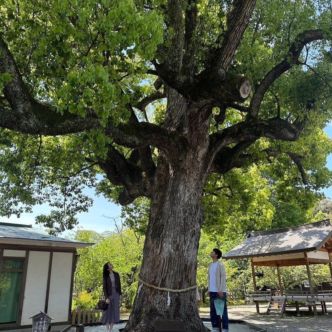 磯貝初奈さんのインスタグラム写真 - (磯貝初奈Instagram)「先日、家族で京都へ行ってきました^^ 行きたかった北野天満宮にも付き合ってもらえて大満足です。 自分を過信せずに精励します📚  #磯貝初奈」5月3日 19時18分 - hana_isogai