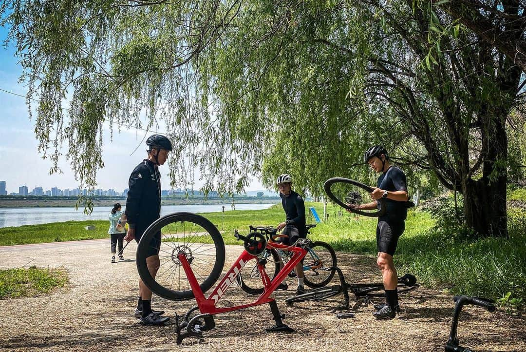 ジヌションさんのインスタグラム写真 - (ジヌションInstagram)「🏃‍♂️ 한남-팔당 라이딩 타이어 펑크 났다😅 Photo by @gritjjw_  #trek #마돈 #라이딩 @trekbicyclekorea」5月3日 19時38分 - jinusean3000