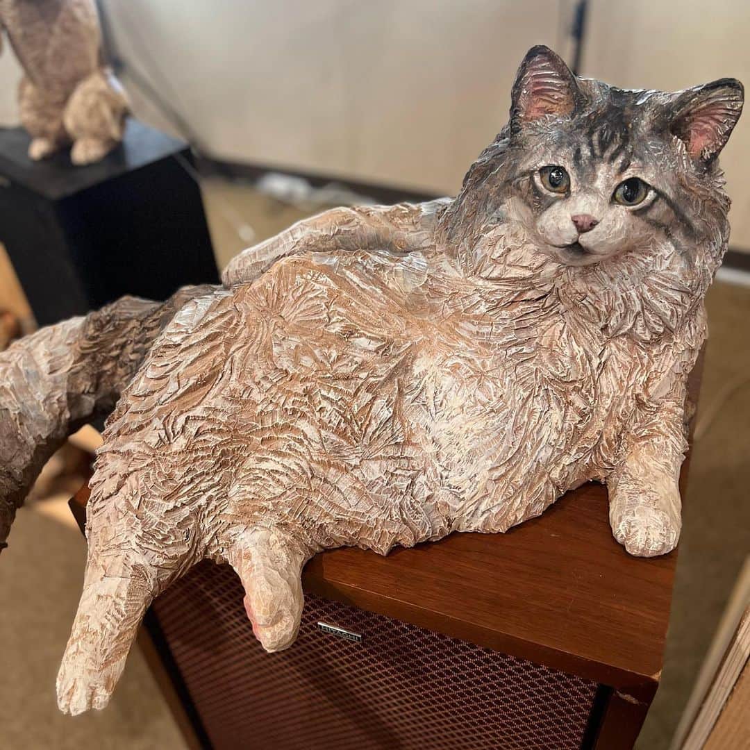 はしもとみおのインスタグラム：「猫のモイくん 小首かしげたウニちゃん  モイくんとの出会いはもうだいぶ遡って、最初にスケッチしたのは6年前くらい？近藤さん宅で初めて会ったモイくんウニちゃん。 モイくんはその時病気を抱えていたのですが、私は何故かその事を忘れて会いに行こう、とその時決めていました。 眼に見えるものや空気を頼りにスケッチするので、言葉の情報はそれほど無くても大丈夫で。  それから何年も交流を重ね、モイくんはみるみる元気になり、彫刻にできた時はアトリエでひとり、作る事ができて良かった、と涙が溢れました。  展覧会では、ひとりひとりのいきものたちに、キャプションでは伝えきれないこんな想いが詰まっていて、これからの展覧会でこれらをどう伝えていくか、また考えて行きます。  はしもとみお木彫展 いきものたちの音  2023年4/22-7/17 月曜日休  愛知県　 おかざき世界子ども美術博物館  #いきものたちの音 #woodworking #wood #woodcarving #sculpture #woodsculpture #cat#catstagram #art #近藤モイ#近藤ウニ #はしもとみお#miohashimoto」