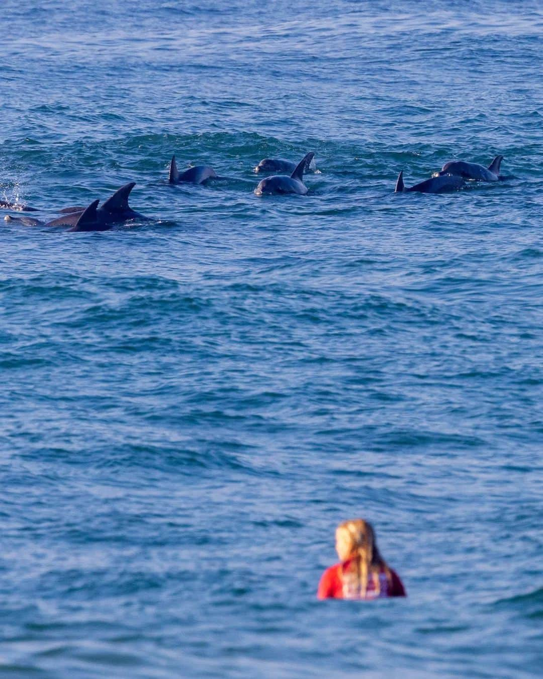 世界プロサーフィン連盟（WSL）のインスタグラム