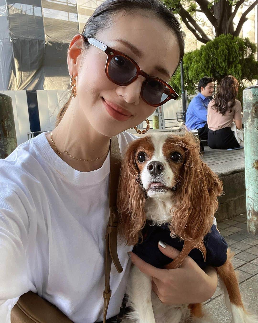 木下ココさんのインスタグラム写真 - (木下ココInstagram)「cav mom day🐶👨‍👩‍👧❤️ ・ 坂をかけ上がり、階段を登り👟都内ハイキングしながら、初夏のような気持ちの良い日をみんなで満喫🌞 ・ ・ ・ #cavalier #sansasnow #babydaniel #lifewithdogs  #犬のいる暮らし #お散歩 #木下ココ」5月3日 21時49分 - cocot_chan