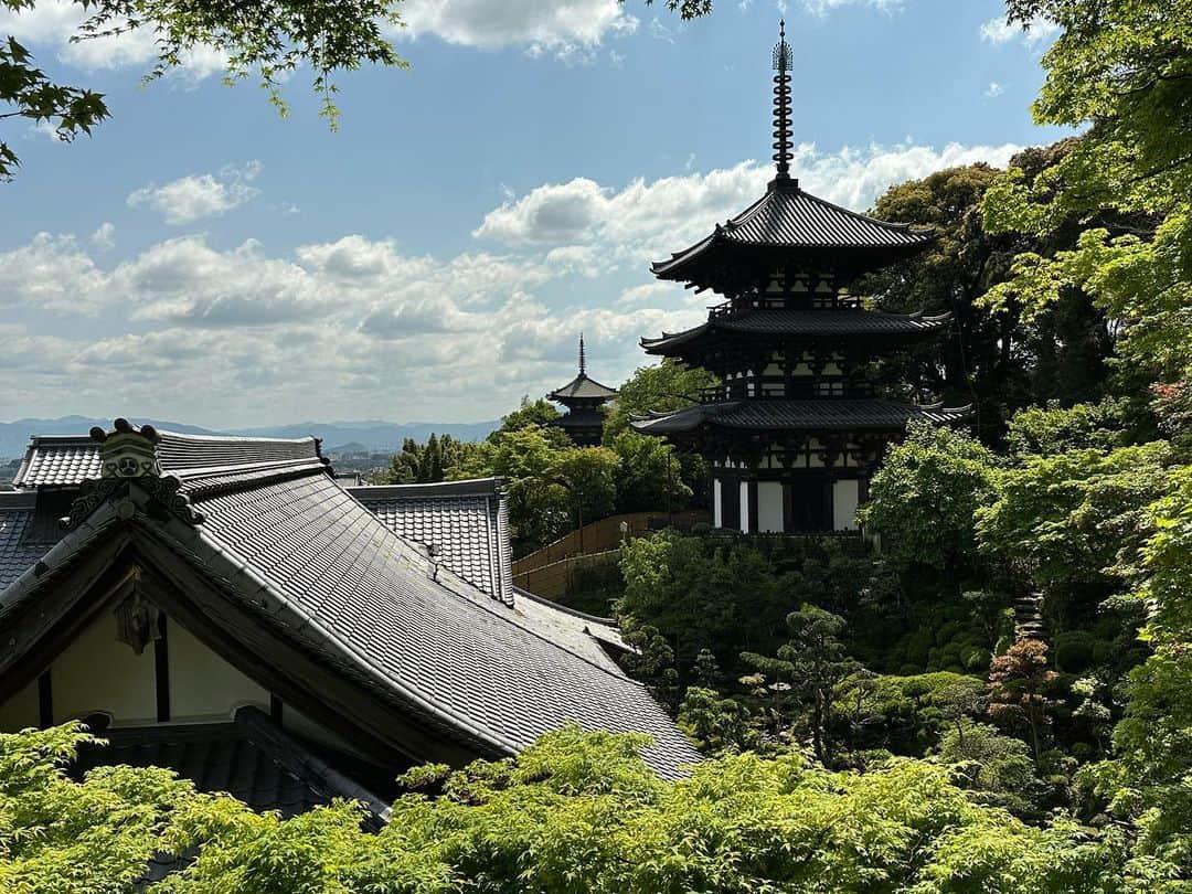 山中真さんのインスタグラム写真 - (山中真Instagram)「・ 昨日は奈良県香芝市の 屯鶴峯（どんずるぼう）から！  日本に、関西に こんな場所があったなんて。  緑の山の中に突如現れる 白い奇岩の織りなす景色は まるで異国のようで。  せっかくなら近くの當麻寺も。 1350年もの歴史ある名刹で 国宝や重要文化財だらけ。  参道のお蕎麦やけはや餅も 美味しかった♪ 毎日大福食べてる！  #mbs #よんチャンtv  #毎日生中継 #山ちゃん中継 #屯鶴峯　#どんずるぼう #當麻寺　#けはや餅 #薬庵」5月3日 22時04分 - makorine1120