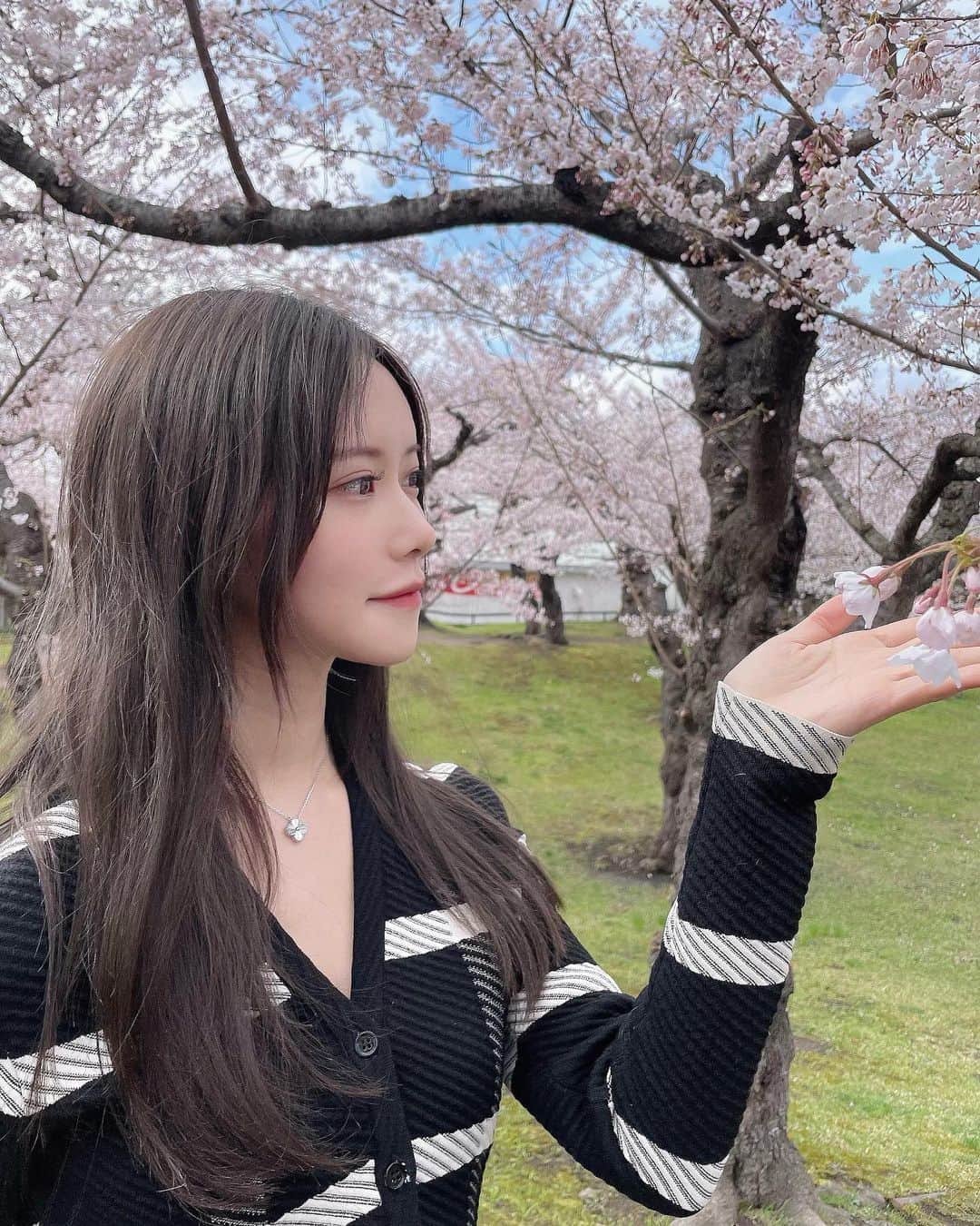 MICHIRUのインスタグラム：「五稜郭公園の桜🌸 今年は東京でも函館でもお花見できた〜嬉しい👯‍♀️✨」