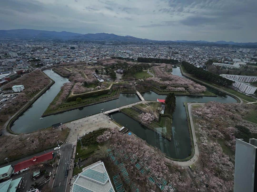 日下裕江さんのインスタグラム写真 - (日下裕江Instagram)「桜満開の五稜郭公園🌸  星型に咲いた桜がすごくキレイ❀.*･ﾟ  桜の木の高さも低くて花が近いのが凄く良いし、  丘に登ると上から桜を眺められるのも凄くいい👍  桜の時期に来れて良かった✨  #五稜郭公園の桜 #五稜郭公園 #五稜郭 #五稜郭タワー #桜 #桜祭り #函館 #北海道 #japan」5月3日 22時30分 - hiroe___h