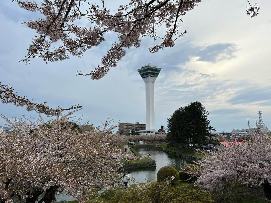 日下裕江さんのインスタグラム写真 - (日下裕江Instagram)「桜満開の五稜郭公園🌸  星型に咲いた桜がすごくキレイ❀.*･ﾟ  桜の木の高さも低くて花が近いのが凄く良いし、  丘に登ると上から桜を眺められるのも凄くいい👍  桜の時期に来れて良かった✨  #五稜郭公園の桜 #五稜郭公園 #五稜郭 #五稜郭タワー #桜 #桜祭り #函館 #北海道 #japan」5月3日 22時30分 - hiroe___h