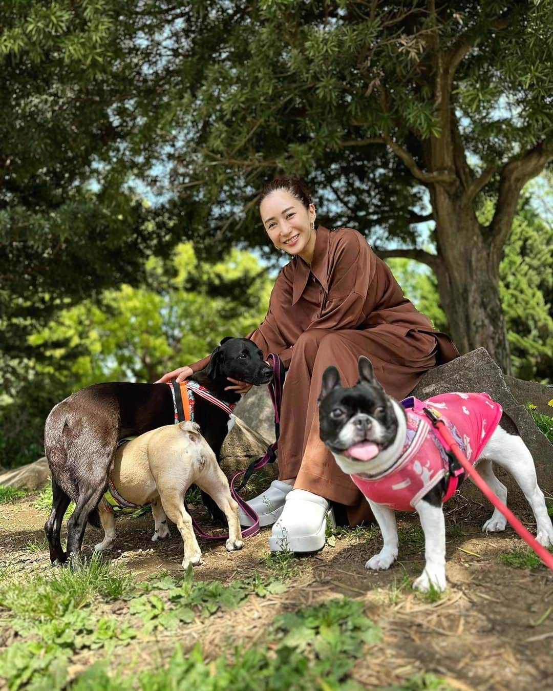のインスタグラム：「. . . Family photo 🐄🐕‍🦺🐖♡  ４月のお天気の日のお散歩写真♡  お鼻とお鼻つけるの好き♡  @daniella_and_gemma  のお靴のサボ サボって 本当に便利で可愛いと 改めて思いました♡  @cielair  トロントロンのsetupと共に♡  #japan #fashion #love #shoes  #daniellaandgemma  #setup #cielair  #dogs #bigfamily  #lovrly #大家族」