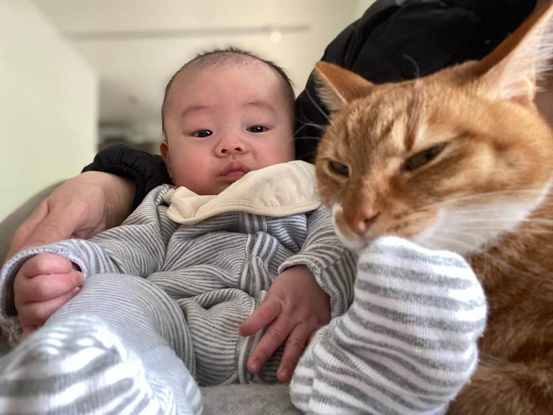 ひよりのインスタグラム：「いつかのシンクロ😼👶」