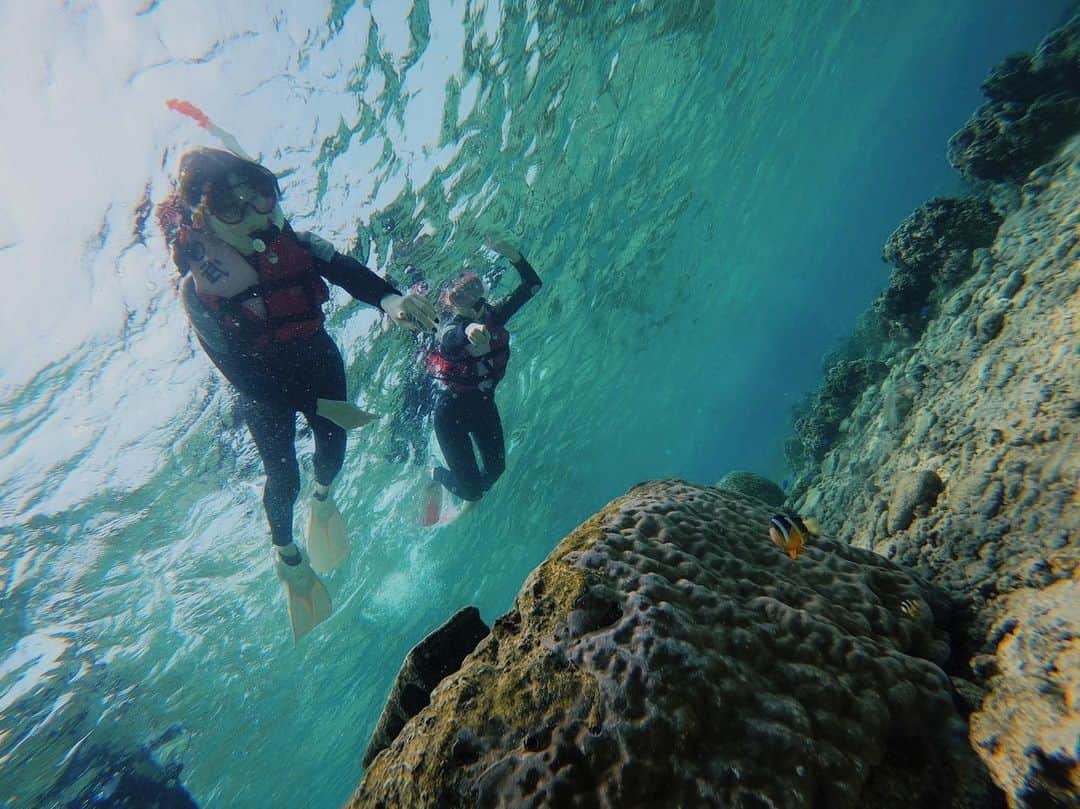 藤村聖子のインスタグラム：「🤿🤿  はじめてのシュノーケリング🏊‍♀️ (カクレクマノミ発見！) 沖縄の海は美しすぎて水族館みたいだった… . . . . #vacation#trip#travel#beach#sea #海#サンゴ#シュノーケリング#カクレクマノミ#沖縄」