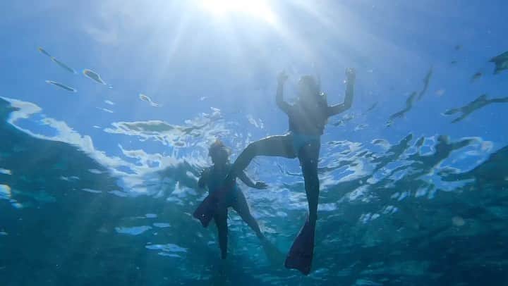 のインスタグラム：「NO "Under the Sea"🐠🌊🌞🤿🌴  NO  life💙  #okinawa  #okinawalife  #beachlife  #savetheocean  #海のある生活」