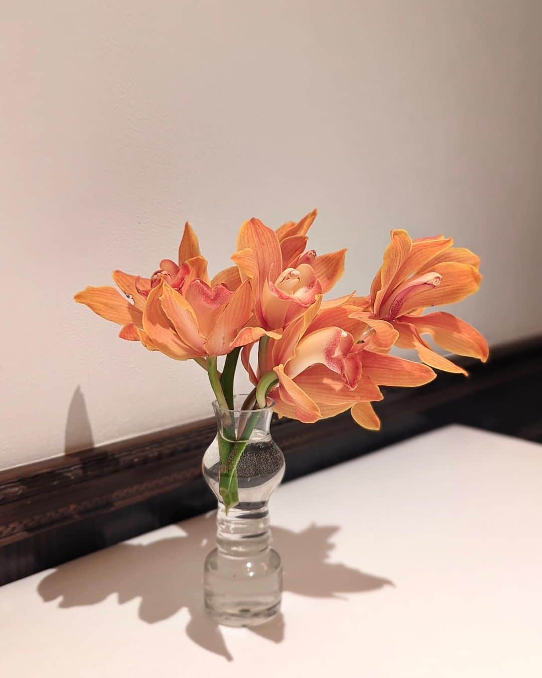 安岡あゆみのグルメインスタ