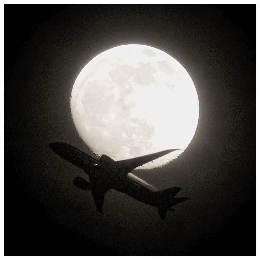 さだまさしさんのインスタグラム写真 - (さだまさしInstagram)「おまけ🌕 こっちの方が良かったかなぁ〜 . #月 #飛行機 #月と飛行機 #さだまさし #sadamasashi」5月3日 23時15分 - sada_masashi