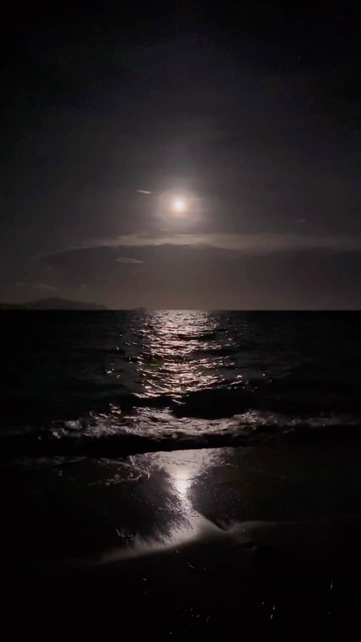 アン・カーティスのインスタグラム：「Moonlight magic 🌙」