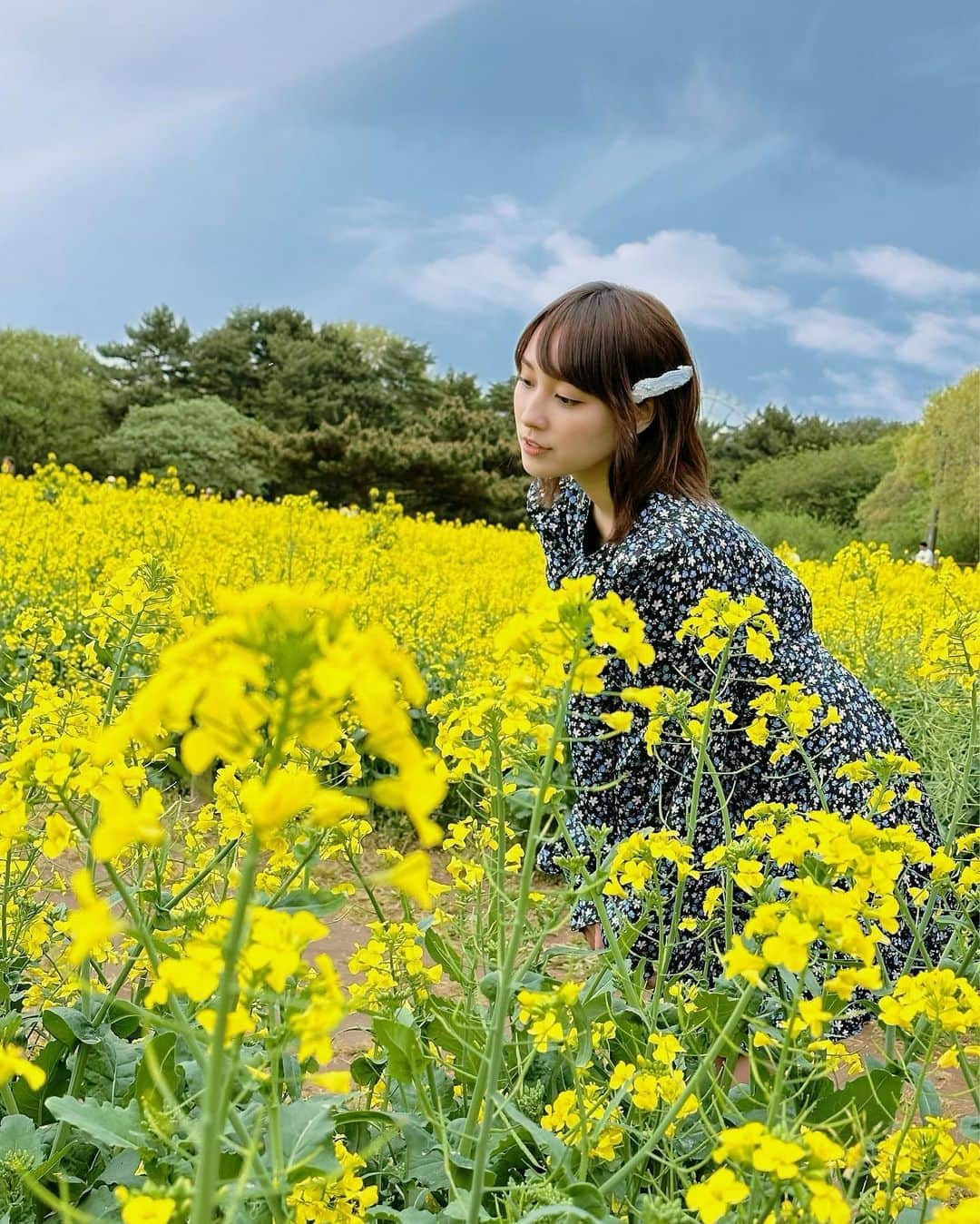 amiさんのインスタグラム写真 - (amiInstagram)「憧れのネモフィラ畑に行った時の写真💕🌼🪻#ひたち海浜公園」5月4日 0時19分 - amidesudoumo