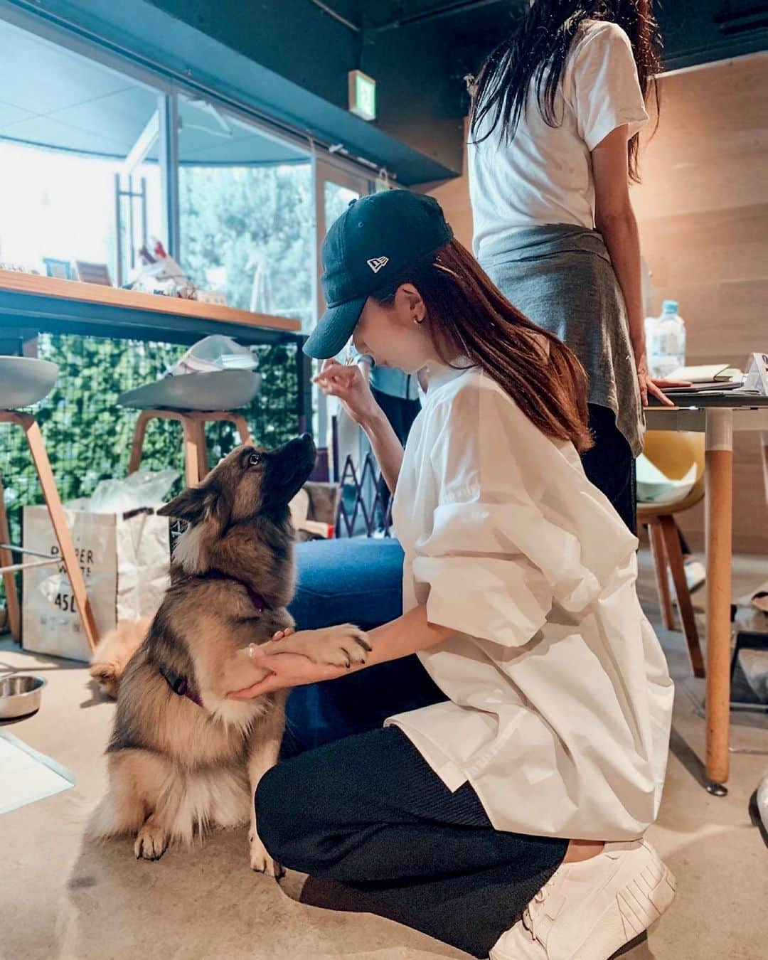 神林真里さんのインスタグラム写真 - (神林真里Instagram)「念願の保護犬カフェに行ってきたよ🐕☕️  みんなとっても可愛くてお利口さんで🥺 ふれあえてとっても幸せな時間だった🫶  1回の利用で1匹の1日分のごはん支援に 相当するそうなので、なんだかそれもうれしい🍚  こういう形で保護犬と出会えるって本当に素敵✨  ちなみにこちらは保護犬カフェというか、 毎週木金でこちらのコワーキングスペースに 保護犬たちが来てくれて、 一緒に仕事ができるところみたい👩‍💻  わたしみたいに1hのカフェ利用もokなので、 興味のある方は是非行ってみてくださいね！  【 Paw-working @buddies.temp.agency 】 📍BLINK Roppongi 東京都港区元麻布3丁目1-6  #保護犬 #保護犬カフェ #保護犬を家族に #保護犬を飼おう #犬が好き #犬が好きな人と繋がりたい #六本木カフェ #癒しの時間 #保護犬支援 #休日の過ごし方 #ゴールデンウィークの過ごし方 #元麻布 #ペットショップ反対 #コワーキングスペース #rescuedogsofinstagram #rescuedogs #doglover #roppongi #pawwork #coworkingcommunity #holidaymood #dogadoption」5月4日 0時19分 - maripo_jp