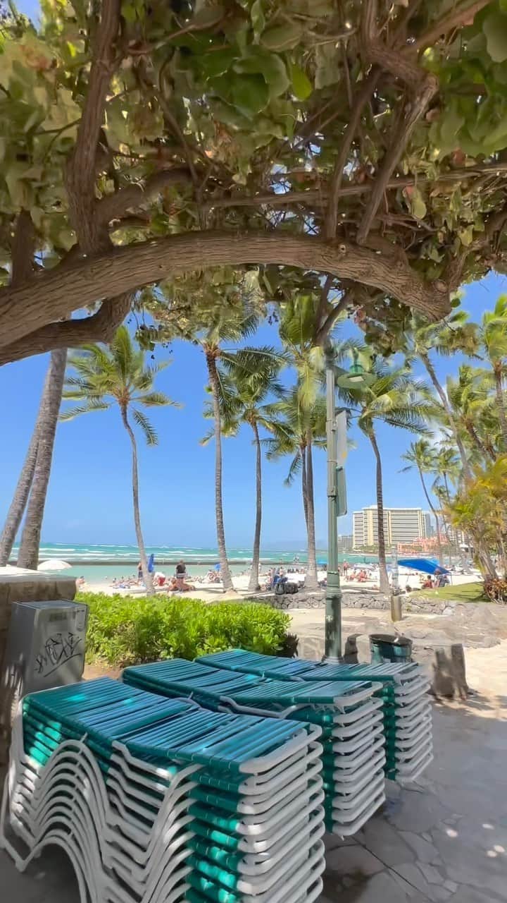Belle Vie Hawaiiのインスタグラム