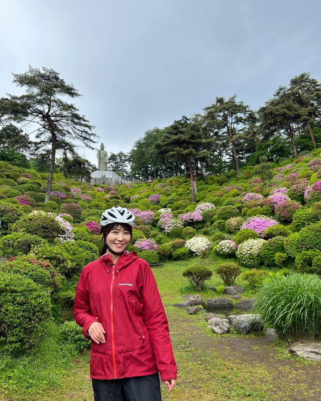 佐野真彩さんのインスタグラム写真 - (佐野真彩Instagram)「つつじといえば塩船観音寺ということで、 チャリ娘ロケで行ってきました🚲💨  残念ながら見頃は少し前だったようで...... しかしながら、まだ咲いている箇所もあり、これが全部咲いていたらどれだけ綺麗だろうな〜と想像しながら愛でるのも良いものです。  後半は塩船観音ではありませんが、 同日に見つけた藤の花🪻🪻  #montbell #cycling #チャリ娘 #TCN #塩船観音 #塩船観音寺つつじまつり #青梅いいとこ #青梅市　#多摩ケーブルネットワーク」5月4日 1時37分 - sano.maya