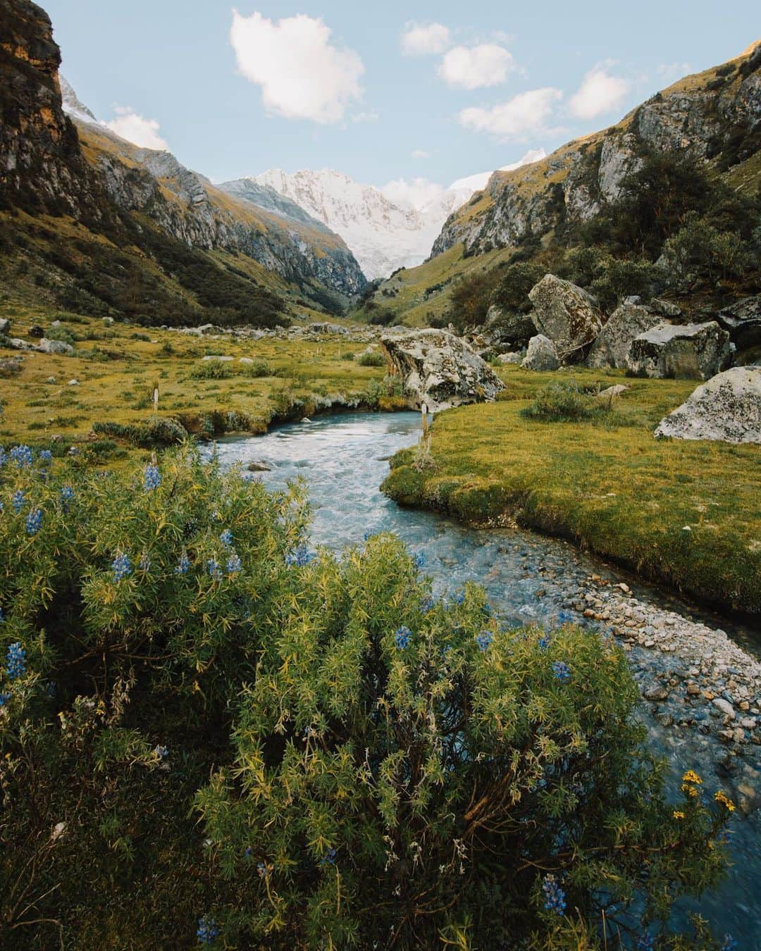 Alex Strohlさんのインスタグラム写真 - (Alex StrohlInstagram)「Landscapes of the Peruvian Andes 1/2  I remember being so drawn towards the vegetation of this part of the world. Every bush and every flower became a dream foreground for a photo. I don’t think I’ve ever shot so many bushes in a row!  Here are some of my favorites」5月4日 2時11分 - alexstrohl