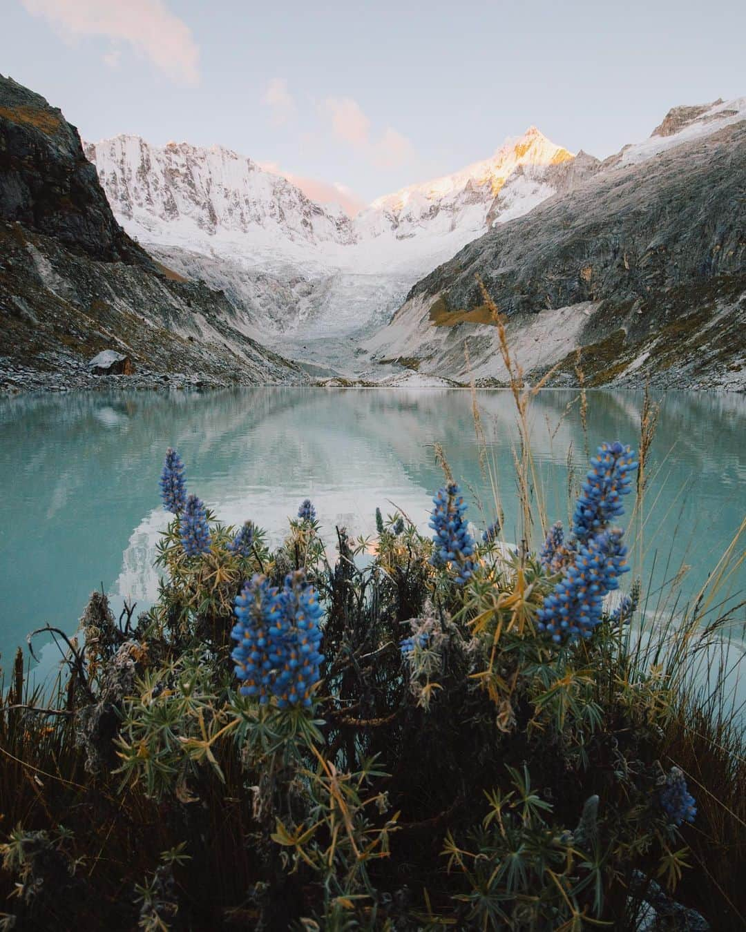 Alex Strohlさんのインスタグラム写真 - (Alex StrohlInstagram)「Landscapes of the Peruvian Andes 1/2  I remember being so drawn towards the vegetation of this part of the world. Every bush and every flower became a dream foreground for a photo. I don’t think I’ve ever shot so many bushes in a row!  Here are some of my favorites」5月4日 2時11分 - alexstrohl