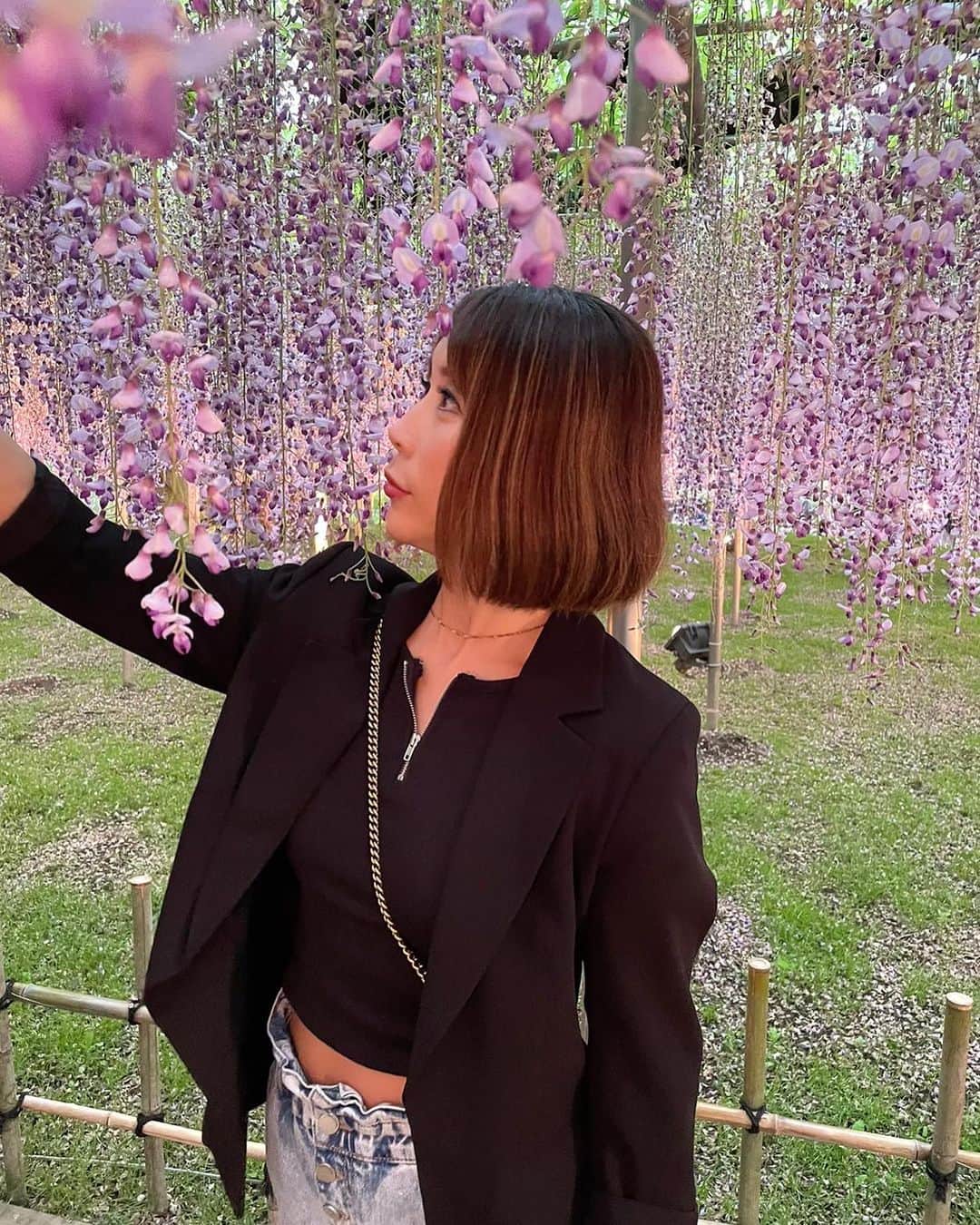 mizuのインスタグラム：「💜💜💜 GW楽しんでますか？ 胡蝶しのぶです。  藤の花💟 ちょうどGWに見頃を迎える藤の花 見に行けてよかった😊  時間気にせず久しぶりにゆっくり できた☺️  こうゆう時間も大切😊  #鬼滅の刃 #聖地 #あしかがフラワーパーク」