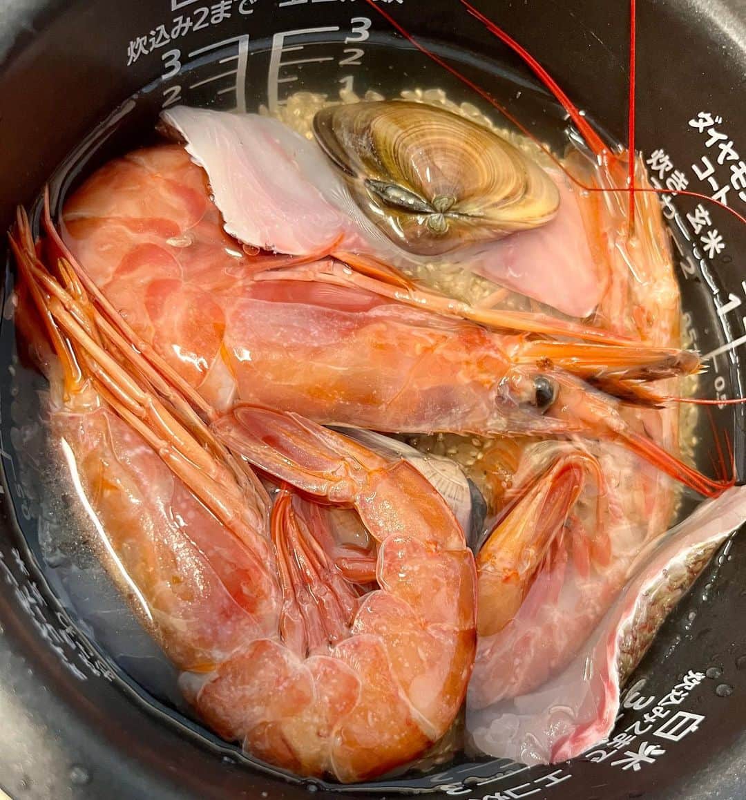 工藤静香さんのインスタグラム写真 - (工藤静香Instagram)「朝一に仕込んで、炊き込みご飯ランチもナイス👍  玄米 海老🦞 はまぐり 鯛 和出汁 刻み生姜 きのこはなかったので入れてないですが、本当は入れたい！笑  殻のまま一緒に調理します！ 熱々のまま殻から剥がして混ぜるので、少し熱いです🖐️  海の幸炊き込み💕」5月4日 14時47分 - kudo_shizuka