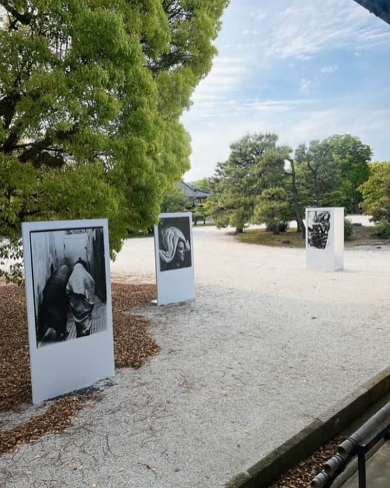 eclat.magazineさんのインスタグラム写真 - (eclat.magazineInstagram)「GWの京都は、街を巡るのにぴったりなお天気。限られた時間の中で、KYOTOGRAPHIE 京都国際写真祭 2023を満喫してきました。今年は「BORDER＝境界線」がテーマ。 ⁡ ⭐︎マベル・ポブレット「WHERE OCEANS MEET」／京都文化博物館 別館 ⁡ キューバの若手アーティスト。水と海をテーマにした彼女の作品は、写真プリントをピラミッド型に折ったり、セロハンにシルクスクリーン印刷して花形に切り抜いたり、思いもかけない手法で語りかけてきます。2階で流れているインタビュー映像もぜひ。旧日本銀行のクラシックな建築とともに、濃密な時間が過ごせます。 ⁡ ⭐︎WORLD PRESS PHOTO「レジリエンス── 変化を呼び覚ます女性たちの物語」／京都芸術センター ⁡ 「2000年から2021年までの世界報道写真コンテストで受賞した世界各国の女性・少女・コミュニティにおけるレジリエンス（回復力）および挑戦に焦点を当てた」展示。世界13ヵ国・17人の写真家がジェンダー平等について問いかける写真は、元明倫小学校校舎である京都芸術センター フリースペースで入場無料で見られます。 ⁡ ⭐︎ 松村和彦「心の糸」／八竹庵（旧川崎家住宅2階） ⁡ チケット、グッズ、書籍販売などKYOTOGRAPHIEのインフォメーションセンターが、築100年の京町屋の1階に。そして2階 で入場無料で展示されているのが、写真記者でもある松村和彦氏の作品。その主題は「認知症」。認知症の本人・家族・周囲の人々に取材を重ね、その歩みをカメラに捉えていったそう。柔らかな光のモノクロ写真と糸が織りなす空間が、認知症を理解するきっかけを与えてくれました。 ⁡ ⭐︎高木由利子「PARALLEL WORLD」／二条城　二の丸御殿　台所・御清所 ⁡ 日常的に民族衣装を着ている人達を12カ国で撮影したプロジェクト〈Threads of Beauty〉と、DIORのために撮り下ろした新作やイッセイ・ミヤケ、ヨウジヤマモトなど80年代から現代までのファッションを撮影したシリーズをパラレルに展示。服の存在意義、着る側の愛、作り手の美学を同時に体感、考察する空間に。 ⁡ 15ある展示プログラム全てを見ることはできませんでしたが、閉館ギリギリまで巡って楽しみました。KYOTOGRAPHIEはいよいよ5月14日（日）まで。これから京都旅という方、お目当てのお店やお寺の近くで写真展が開催されているかもしれません。公式サイトをぜひチェックしてみてください。（本誌編集長K藤）  #KYOTOGRAPHIE #京都国際写真祭 #雑誌エクラ #エクラ #eclatmagazinejp」5月4日 14時41分 - eclat.magazine