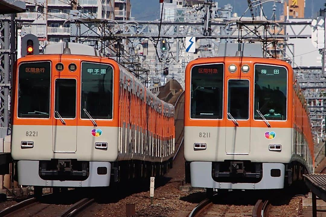 徳永ゆうきさんのインスタグラム写真 - (徳永ゆうきInstagram)「. . 貴重になりつつある 幕車同士のすれ違い！ . -2023.05.02- . #鉄道写真 #撮り鉄 #鉄道好き #阪神 #阪神電車 #阪神電気鉄道 #大物駅 #8000系 #区間急行 #区急 #甲子園行き #区間特急 #梅田行き #すれ違い #離合 #幕車」5月4日 14時42分 - tokuchan_1113