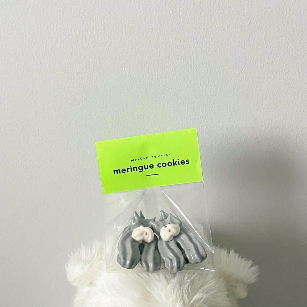 平野紗季子さんのインスタグラム写真 - (平野紗季子Instagram)「🐕🌱🤍🎉 サモエドのクッキー(自立)にシュナウザーのメレンゲ。可愛い。可愛すぎて食べられない(食べた)。」5月4日 14時52分 - sakikohirano