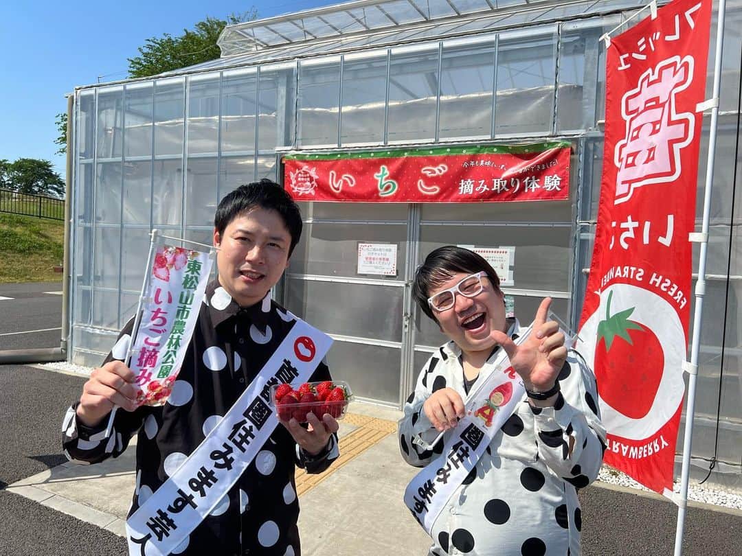 のインスタグラム：「本日BSよしもと『チーキーズ a GoGo！』生中継お世話になりました 埼玉県『東松山市農林公園』さん@h_nourinありがFEVER！でした！ カフェも遊具もいちご摘み体験も出来る素敵な場所！ BSよしもとvideo.bsy.co.jp #BSよしもとゴーゴー #埼玉県 #東松山 #農林公園 #いちご」