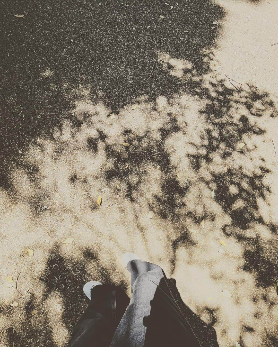 鹿野優以さんのインスタグラム写真 - (鹿野優以Instagram)「暑い日でしたね。」5月4日 15時34分 - yum.k